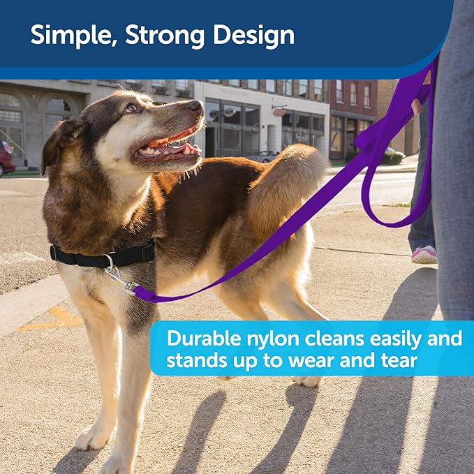 PetSafe Nylon Dog Leash – Strong, Durable, Traditional Style Leash with Easy to Use Bolt Snap – 1" x 6', Deep Purple