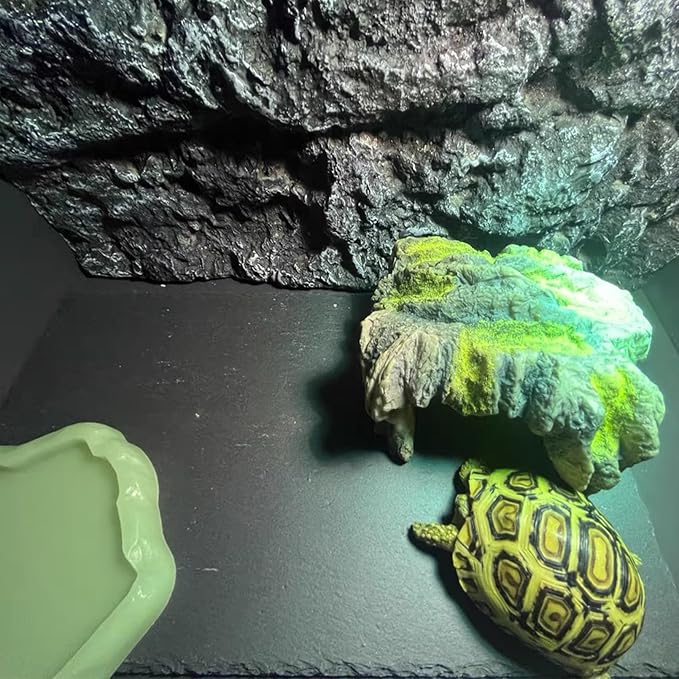 Reptile Basking Platform 2Pcs Tortoise Rock Plate Slate Feeding Platform Food Dish Bowl Turtle Bathing Rock Rest Terrace for Chameleon Lizard Bearded Dragon Gecko Snake Frog Newt (9.8''/25CM)