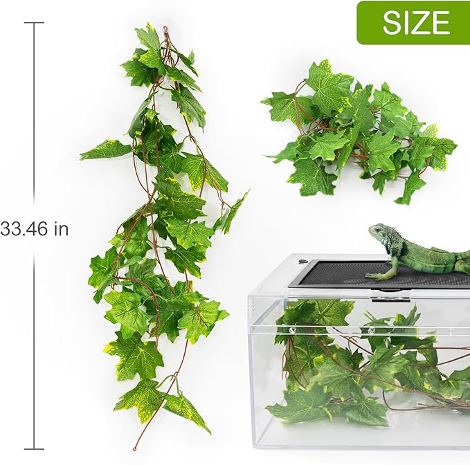 Reptile PC Terrarium Amphibian Tank Starter Kit Habitat Cage 9.4x19.2x7.8inch Suitable for breeding Lizards, Turtles, Snakes, Chameleons,Jumping Spiders