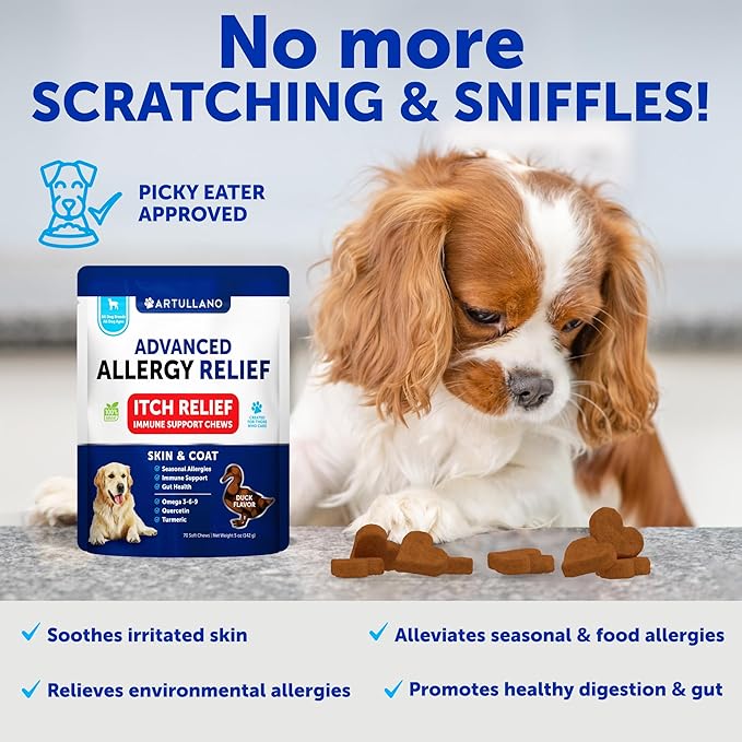 Dog Allergy Relief Chews - Dog Itching Skin Relief Treatment Pills - Itchy and Paw Licking - Anti-Itch Support - Immune Skin & Coat Supplement - Dry Skin and Hot Spots - 70 Treats