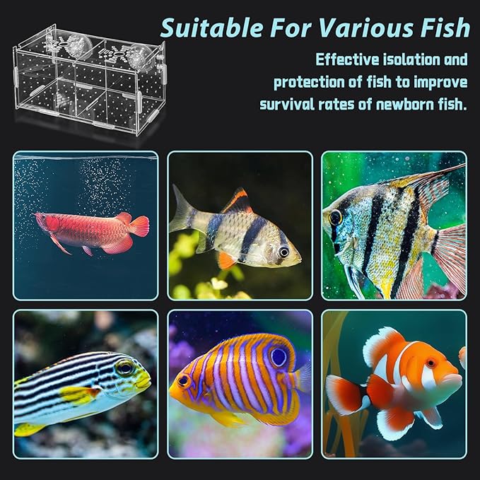 PINVNBY Acrylic Fish Breeding Box，Guppy breeding Box Acrylic Fish Isolation Box Aquarium Incubator with Suction Cups for Guppy Shrimp Small Baby Fishes(10 * 10 * 20CM)