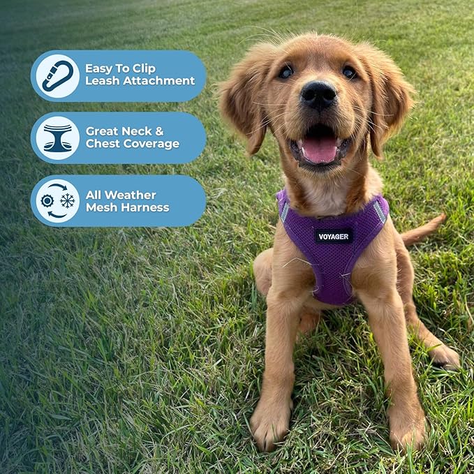 Voyager Step-in Air Dog Harness - All Weather Mesh Step in Vest Harness for Small and Medium Dogs and Cats by Best Pet Supplies - Harness (Purple), XL (Chest: 20.5-23")