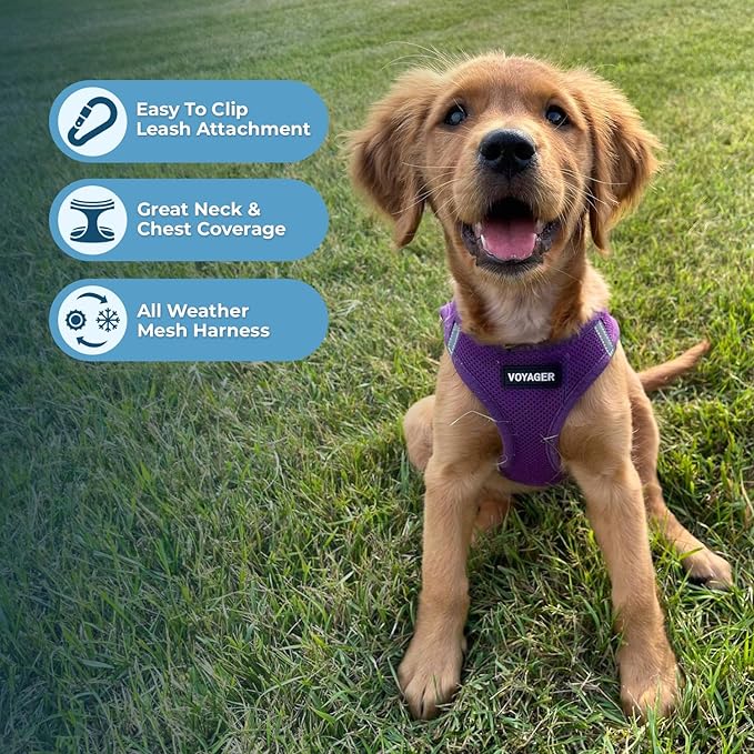 Voyager Step-in Air Dog Harness - All Weather Mesh Step in Vest Harness for Small and Medium Dogs and Cats by Best Pet Supplies - Harness (Purple), L (Chest: 18-20.5")