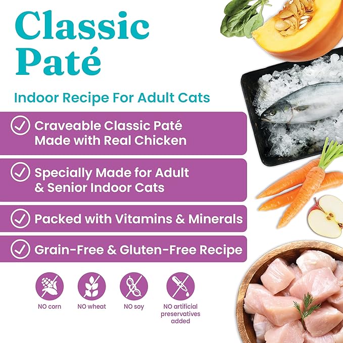 Solid Gold Wet Cat Food Pate - Canned Cat Food Made w/Real Chicken for Indoor Cats of All Ages - Flavorful Feast Grain Free Cat Wet Food for Sensitive Stomach & Healthy Living - 24ct/3oz Can