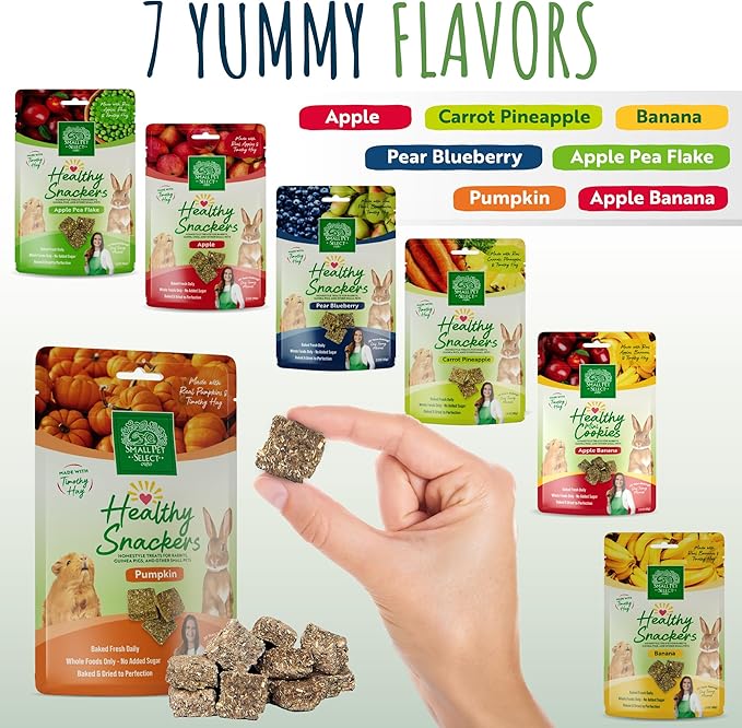 Small Pet Select - Healthy Snackers - Pumpkin