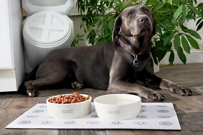 Pearhead Woof Pet Bowl, Dog Water and Food Dish, Pet Owner Dog Accessory, Ceramic, White, Microwave and Dishwasher Safe, Holds 3 Cups, 24 oz