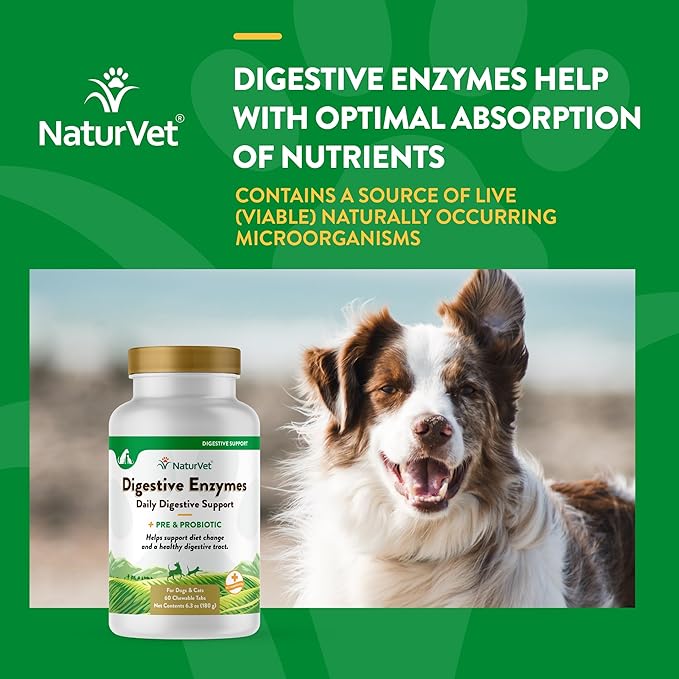 NaturVet – Digestive Enzymes - Plus Probiotics & Prebiotics – Helps Support Diet Change & A Healthy Digestive Tract – for Dogs & Cats (Chewable Tablets, 60 Count)