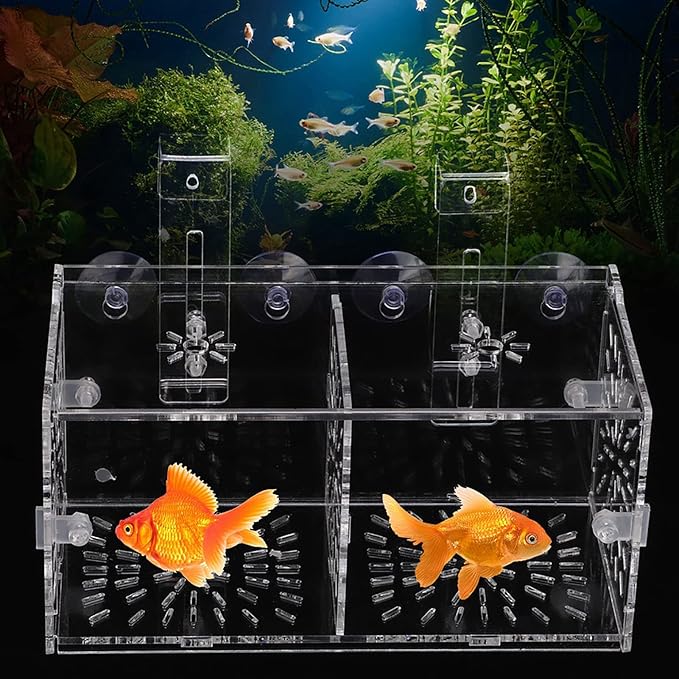 Fish Breeding Box, Acrylic Transparent Fish Breeding Isolation Box Aquarium Hatchery Incubator Holder Fish Separation Breeder Box, with Hook and Sucker Design (20CM*10CM*10CM)