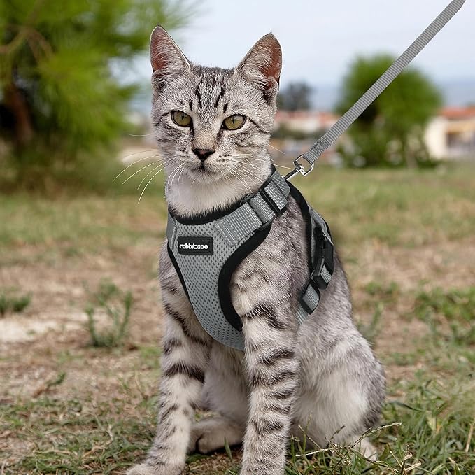 rabbitgoo Cat Harness and Leash for Walking, Escape Proof Soft Adjustable Vest Harnesses for Cats, Easy Control Breathable Reflective Strips Jacket, Grey, M