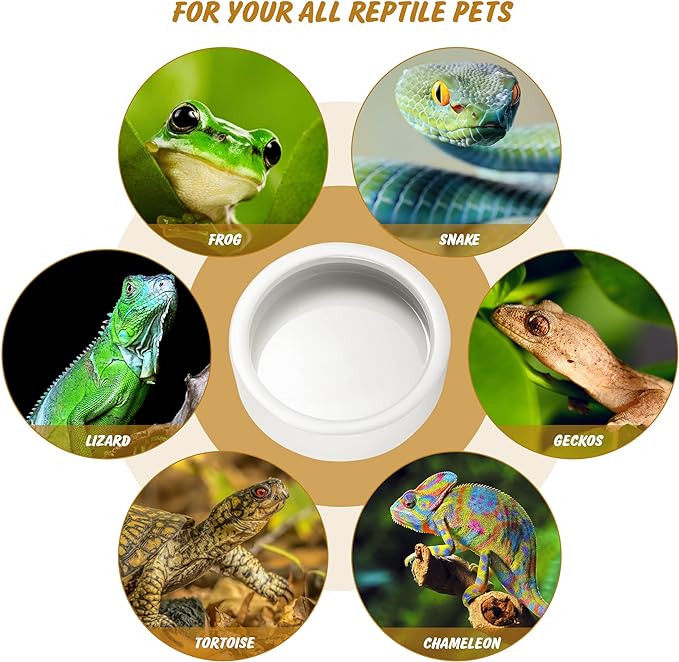 Worm Dish - Large 2 Pcs Reptile Food Water Bowl Lizard Gecko Ceramic Pet Bowls, Mealworms Bowl for Bearded Dragon Chameleon Hermit Crab Dubia Rock Reptile Cricket Dish Anti-Escape Mini Reptile Feeder