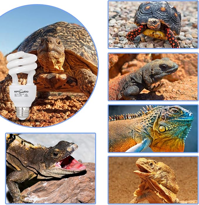 REPTIZOO Energy Saving Lamps UVB Bulb Spiral Compact 15 Watts UVB 10.0 Reptile Light Bulb Fit for Desert Type Reptile/Snake/Lizard/Insect/Leopard Tortoise