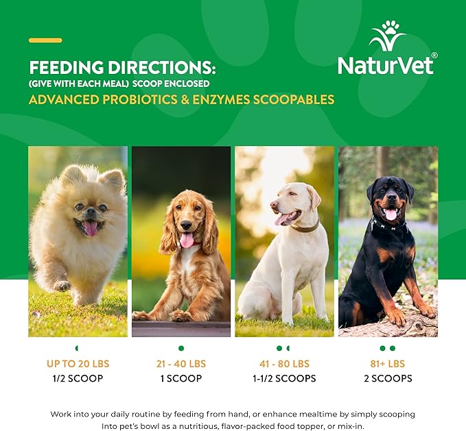 NaturVet Scoopables Advanced Probiotics for Dogs - Chewable Dog Probiotics & Digestive Enzymes - Support a Healthy Gut for Your Pet - Hickory Smoked Bacon Flavor | 11oz Bag