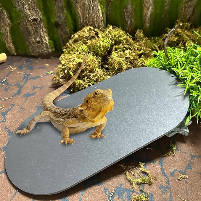 Reptile Basking Platform 11.2''x5.7'' Turtle Rock Slate Food Bowl Feeding Dish Plate Tortoise Resting Bathing Platform for Gecko Bearded Dragon Lizard Chameleon Snake Frog