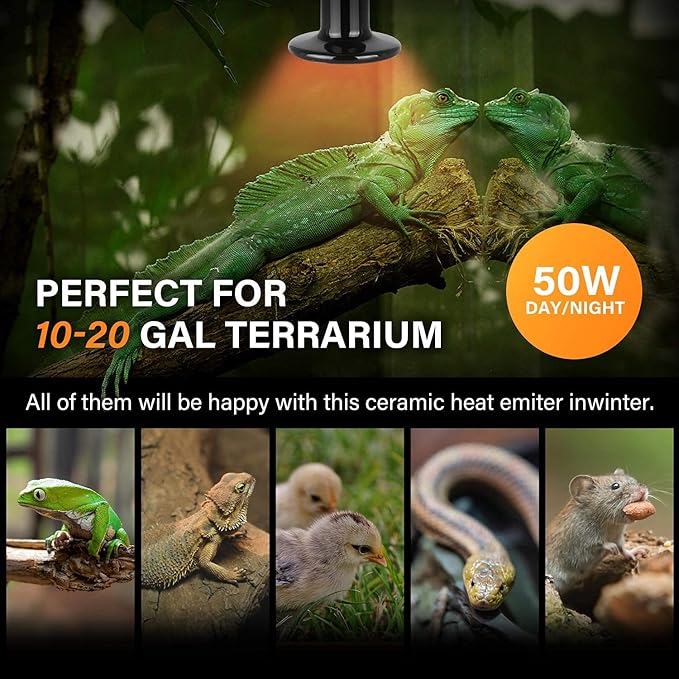 Simple Deluxe 50W Reptile Ceramic Heat Bulb No Light Emitting with 5.5 Inch 60W Dome Light Clamp Lamp Fixture and Digital Thermostat Controller, for Incubating Chicken & Amphibian Pet
