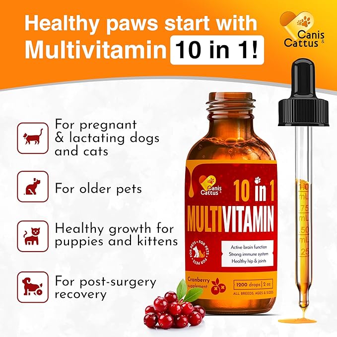 Cat Multivitamin | Dog Vitamins and Supplements | Cat Supplements & Vitamins | Multivitamin for Dogs | Pet Honesty Multivitamin 10-in-1 | Dog Supplements & Vitamins | Vitamins for Dogs | 3 Pack