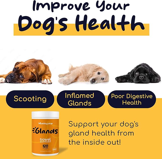 Glands Bowel Support - 120 Delicious Scoot Soft Chews for Scooting, Healthy Anal Glands, and Digestive Health - Made with Pumpkin Powder for Dogs