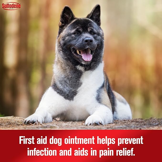 Remedy+Recovery Liquid Bandage for Dogs and Farnam Sulfodene Dog Wound Care Ointment