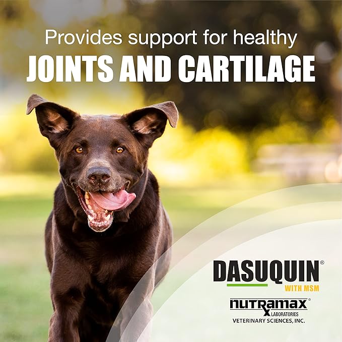 Nutramax Dasuquin with MSM Joint Health Supplement for Large Dogs - With Glucosamine, MSM, Chondroitin, ASU, Boswellia Serrata Extract, and Green Tea Extract, 84 Chewable Tablets