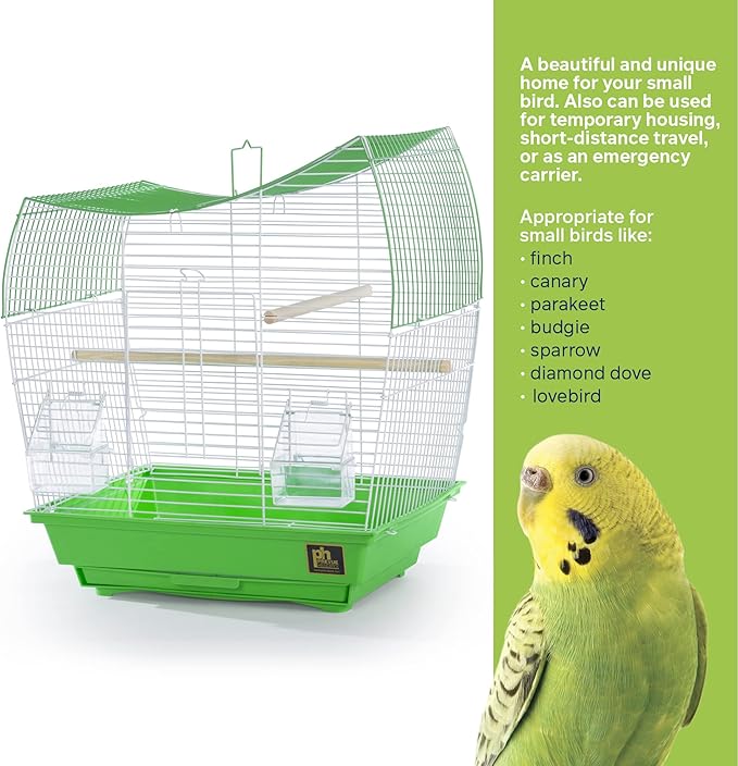 Prevue Pet Products South Beach Wave Top Bird Cage, Lime Green (SP50081)