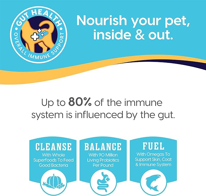 Solid Gold Wet Puppy Food - Made with Real Natural Chicken for Puppies- Love at First Bark Grain Free Canned Dog Food for Gut Health, Immune Support and Soft Skin & Coat