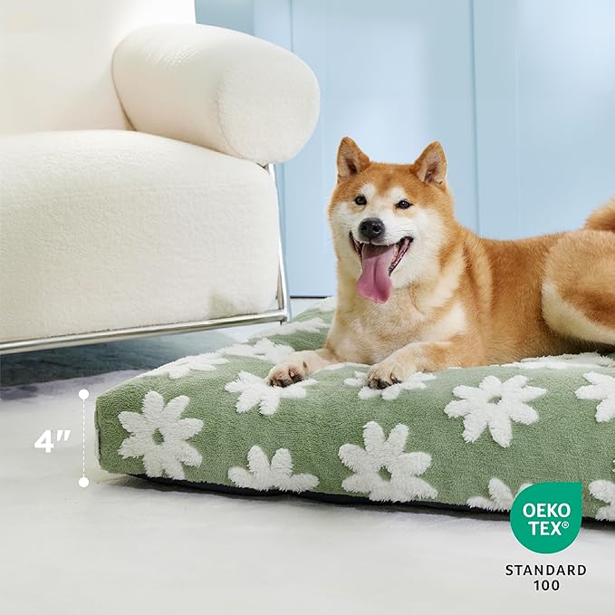 Lesure Dog Bed Medium Size Dog-Thick Shredded Chopped Foam Pet Bed, Dog Bed Indoor with Removable Cover, Cute Modern Fuzzy Plush & Anti Slip Bottom(30'x20', Green)