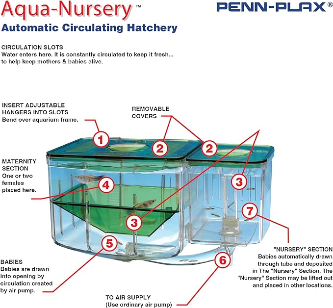 Penn-Plax AN2 Aqua Nursery and Hatchery Breeding Box for Your Aquarium - Help Protect Baby Fish from Predators