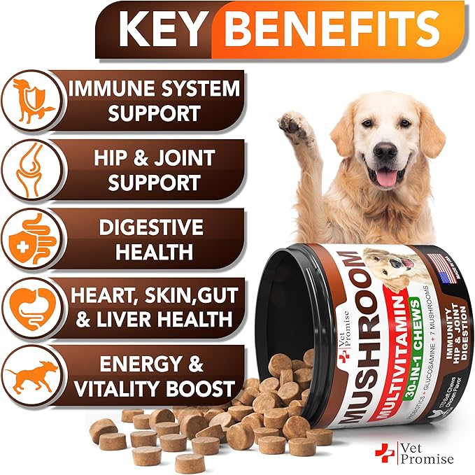 Mushroom for Dogs - 170 Chews - Turkey Tail Mushroom for Dogs - Mushroom Supplement for Dogs - Lions Mane - Reishi - Immunity Support Multivitamin - Joint Health - Energy - Gut - Skin - Dog Vitamins