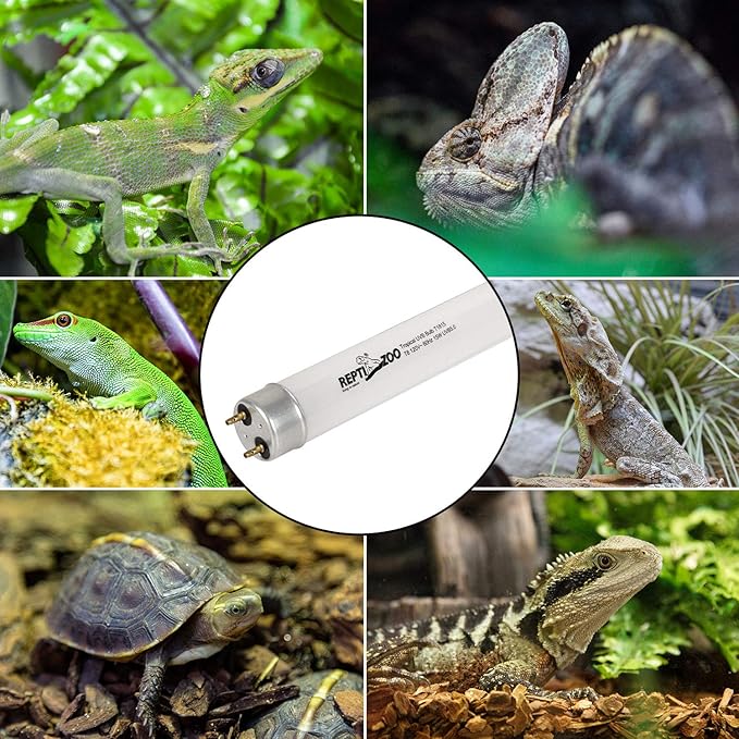 REPTI ZOO T8 Terrarium Reptile Fluorescent UVB T8 18 Inches 15W Compact Reptile Bulb Tropical Terrarium Lamp Tube