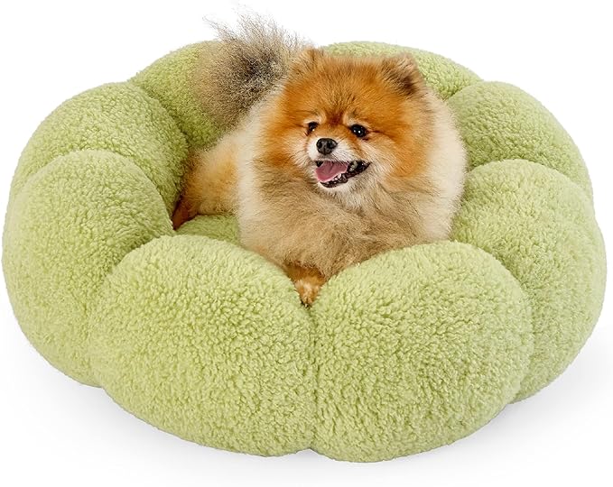 Lesure Calming Small Dog Bed - Flower Donut Round Fluffy Puppy Bed in Plush Teddy Sherpa, Non-Slip Cute Flower Cat Beds for Indoor Cats, Small Pet Bed Fits up to 25 lbs, Machine Washable, Green 23"