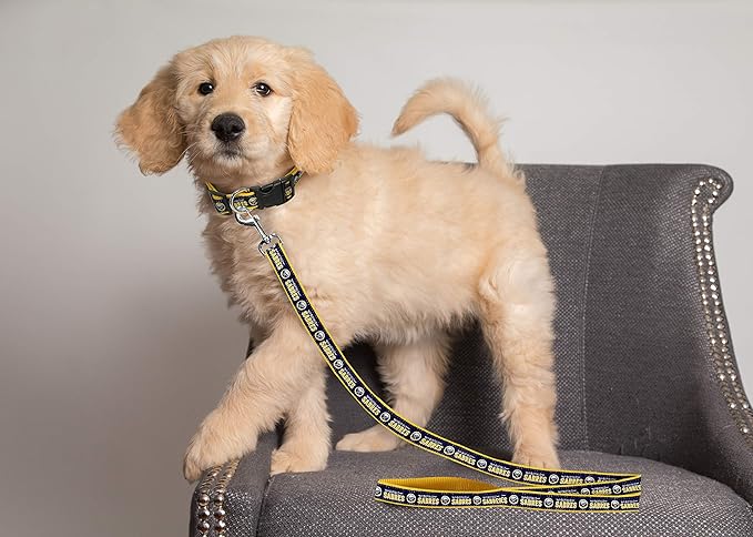 Pets First NHL Buffalo Sabres Leash for Dogs & Cats, Medium. - Walk Cute & Stylish! The Ultimate Hockey Fan Leash!, Medium (4 ft Long x 0.62 in Width) (SAB-3031-MD)