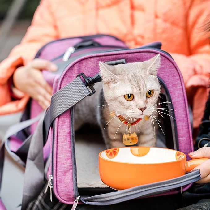 Mr. Pen- Pet Carrier, Pink, Cat Carrier, Dog Carrier, Cat Bag Carrier, Cat Travel Carrier, Soft Cat Carrier, Dog Travel Carrier, Pet Travel Carrier, Dog Soft-Sided Carriers, Cat Carrier Bag