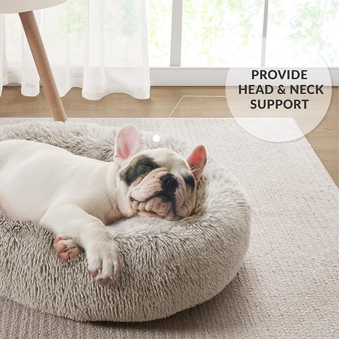 Friends Forever Calming Dog Bed for Medium Dogs, Donut Medium Pet Bed, 30 Inches Memory Foam Orthopedic Dog Bed with Fluffy Plush Faux Fur, Machine Washable, Serena Tan, 30"x23"x6.5"