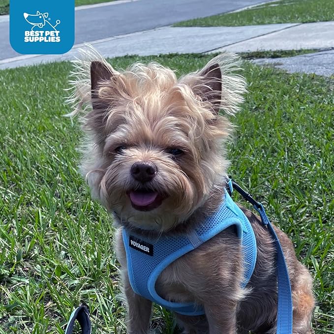 Voyager Step-in Air Dog Harness - All Weather Mesh Step in Vest Harness for Small and Medium Dogs and Cats by Best Pet Supplies - Harness (Baby Blue), XS (Chest: 13-14.5")