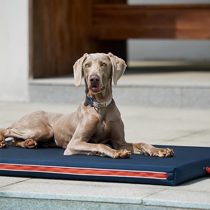 Bedsure Outdoor Waterproof Dog Bed with Heavy Duty Cover, Orthopedic Foam Supportive Dog Beds, Washable Dog Mat with Removable Cover for Large Dogs (44"x32", Navy Blue)