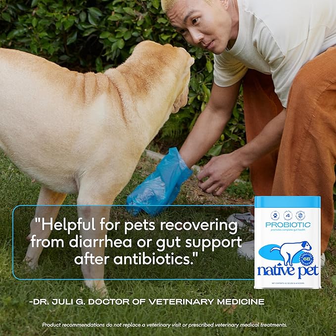 Native Pet Probiotic for Dogs - Vet Created Powder Digestive Issues Dog Probiotics + Prebiotic Bone Broth 232 Gram 6 Billion CFU - Dog Supplies - Powder Prebiotics and Probiotics Dogs Love! (32.8 oz)