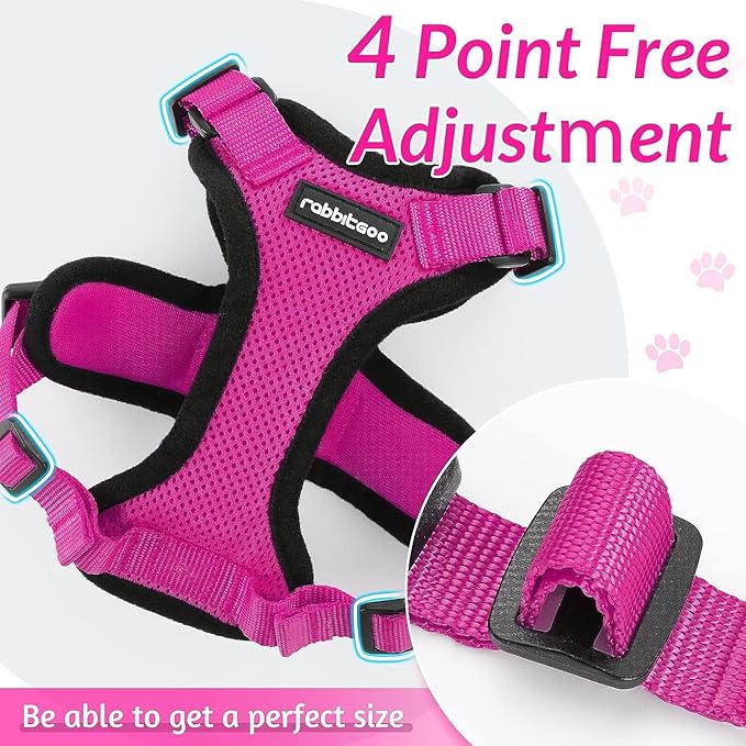 rabbitgoo Cat Harness and Leash for Walking, Escape Proof Soft Adjustable Vest Harnesses for Cats, Easy Control Breathable Reflective Strips Jacket, Rose Red, M