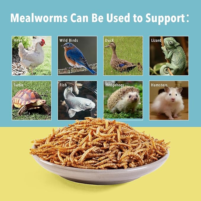 5lb Dried Mealworms for Birds,Chicken Treats for Laying hens,Feed for Blue Birds,Ducks,Fish,Turtles