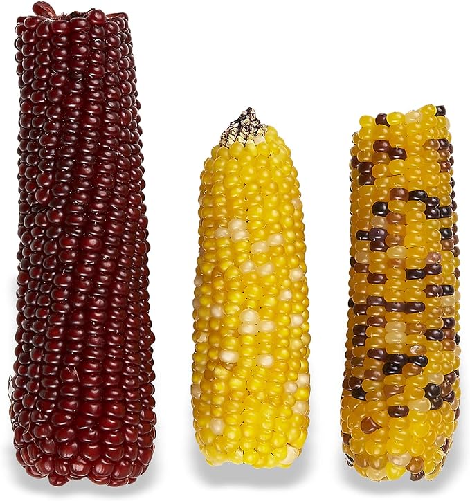 Vitakraft Mini Pops Treat for Small Animals - 100% Real Corn Cob - Supports Healthy Teeth - 6 oz