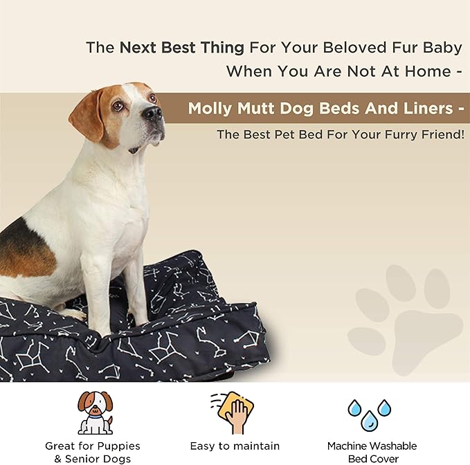 Molly Mutt Medium to Large Dog Bed Cover - Rocketman Print - Measures 27”x36”x5’’ - 100% Cotton - Durable - Breathable - Sustainable - Machine Washable Dog Bed Cover