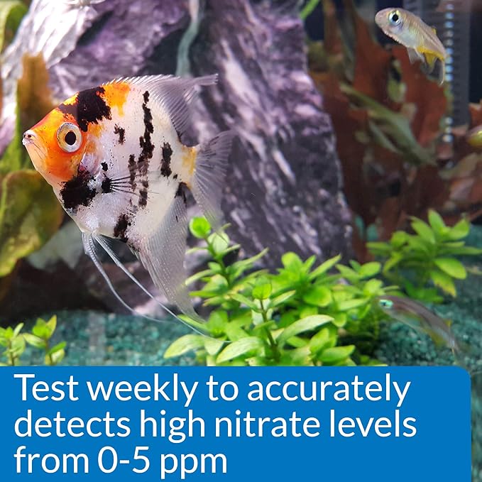 API NITRITE TEST KIT 180-Test Freshwater and Saltwater Aquarium Test Kit