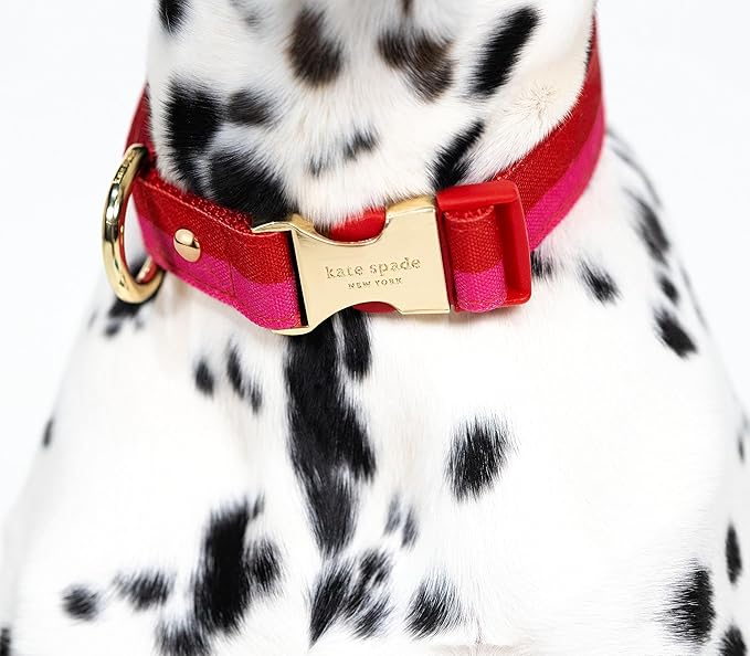 Kate Spade New York Cute Dog Collar, Gold Metal Buckle Dog Collar, 15.5" to 24" Adjustable Dog Collar for Female or Male Dogs, Stylish Dog Collar for Medium and Large Breeds (Red and Pink)