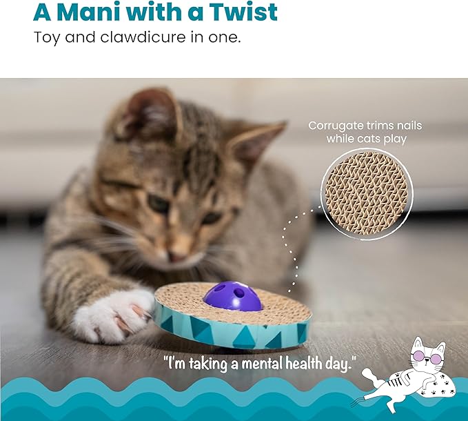 Catstages Spin and Scratch Toy for Cats