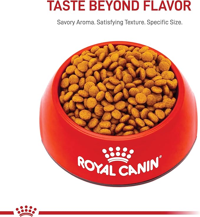 Royal Canin X-Small Adult 8+ Dry Dog Food, 2.5 lb bag