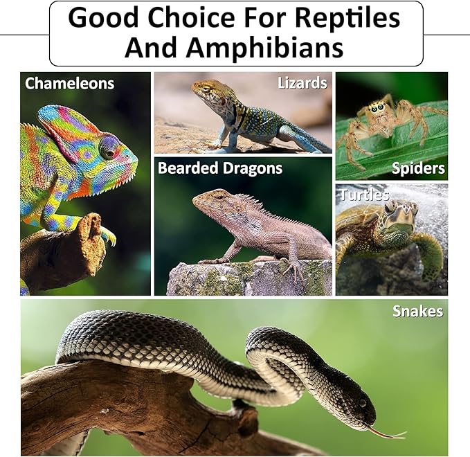 Hamiledyi Reptile Bark Bedding Tortoise Habitat Substrate Natural Terrarium Bark Wood Chips Tank Supplies for Snake Spiders Bearded Dragons Hermit Crabs Geckos