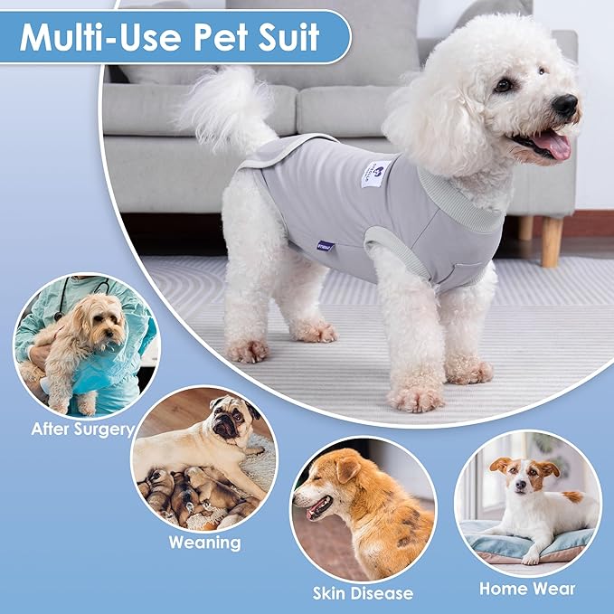 cyeollo 2pack Surgery Recovery Suit for Dogs Cats Soft Breathable Female Male Pet Bodysuit After Surgery for Spay, Neuter, Surgical Recovery Onesie Shirt for Small Medium Large Dogs, Blue & Grey, L