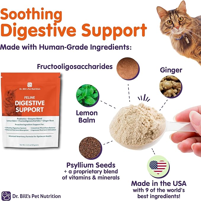 Dr. Bill's Feline Digestive Support Cat Prebiotics and Probiotics with Ginger Root, Psyllium Husk, Lemon Balm & More | 41 Active Ingredients for Better Digestion & Gut Health | Made in The USA