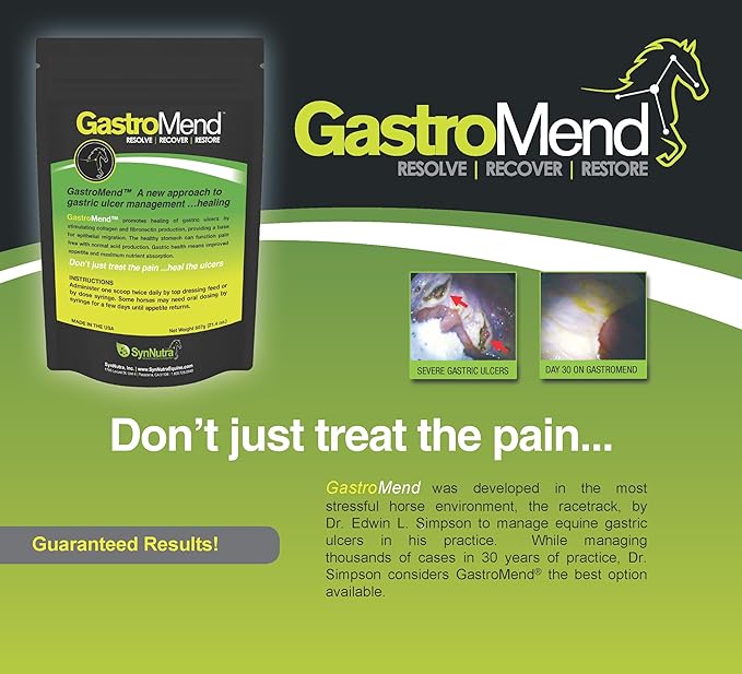 GastroMend® Gastrointestinal Health Supplement for Horses, 100% Natural, Promotes Stomach and Gut Health in Equines, Cost-Effective Digestive Wellness, 60 Servings per Pouch, Made in The USA