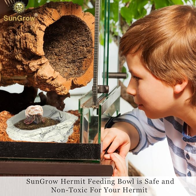 SunGrow Small Hermit Crab Feeding Bowl, for Turtle, Leopard & Crested Gecko, Ball Python, Durable, Multifunctional Decor, Serve as Climbing Toy or Drinking Bowl