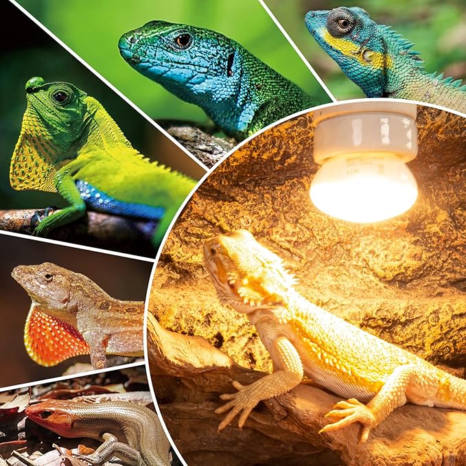 REPTI ZOO 25W Upgraded Nano Reptile Daylight Basking Spot Heat Lamp Bulb 2 Pack, UVA Full Spectrum Sun Light Daytime Heating Lamp for Reptile and Amphibian