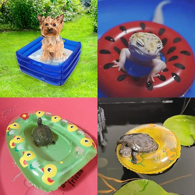 7 Pcs Foldable Bearded Dragons Pool Bath Collar Ring & Boat Set Swimming Bath Water Washer for Small Animal Hedgehog Hamster with Pump